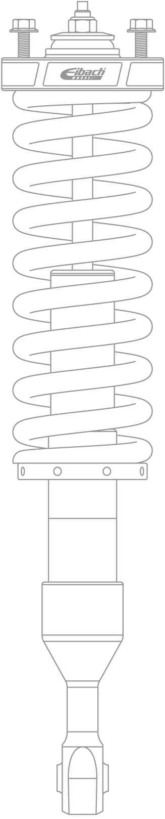 Eibach Pro Truck Coilover drawing